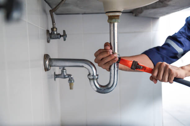 Best Plumbing Inspection Services  in Eldorado, TX